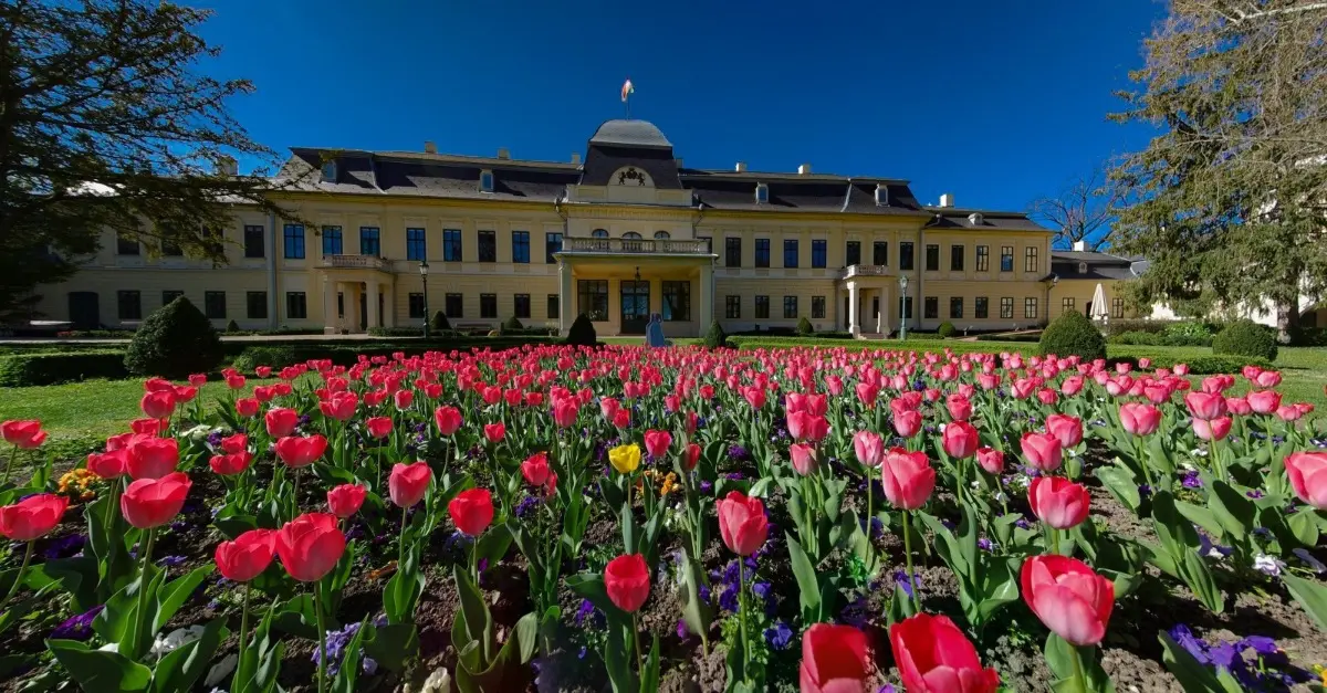 A gyulai Almásy-kastély tulipános virágágyásokkal tavasszal