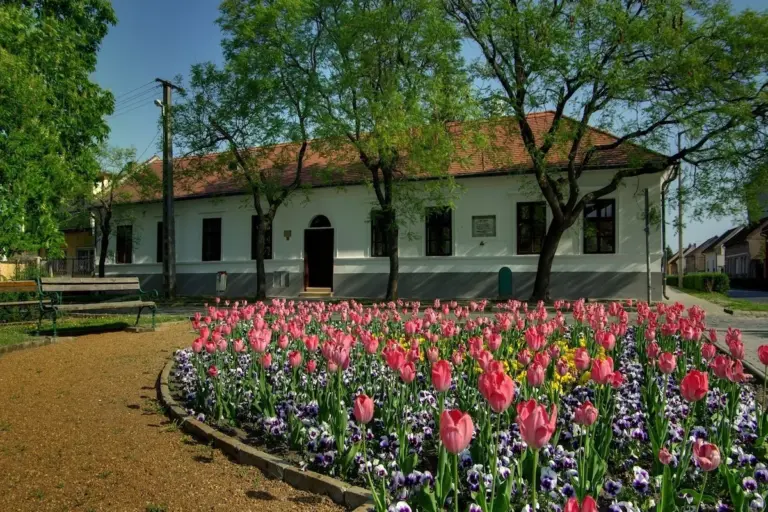 Tulipános virágágyás egy régi gyulai épület előtt