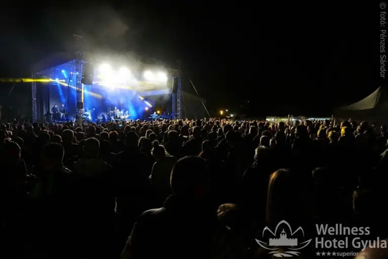 Éjszakai koncert közönsége Gyulán
